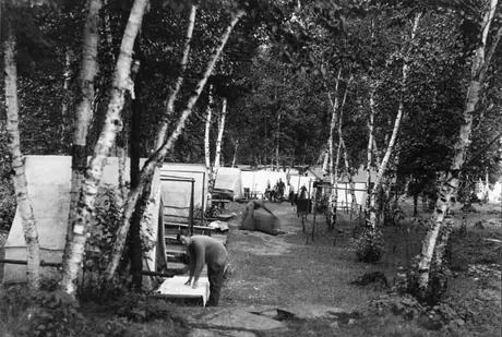 A view of Kewaydyn Camp, Temagami
