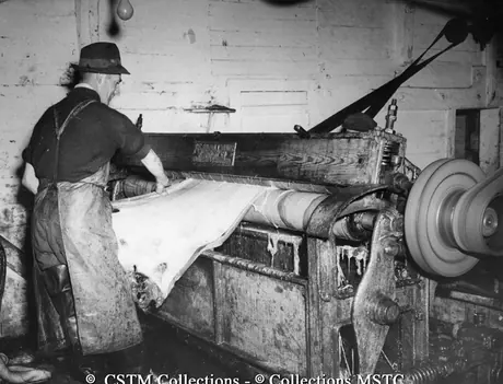 Seal blubber is being separated from the skin/pelt by machine