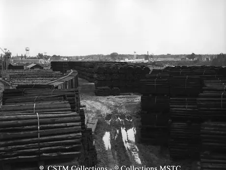 Stock piles of treated and untreated ties at the yards of Wood Preservation Industries Ltd.