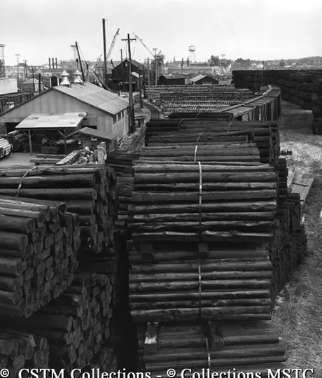 View of untreated wood and treated railway ties in the yard of the Wood Preservations Industries