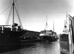 S.S. Kyle docked in Newfoundland