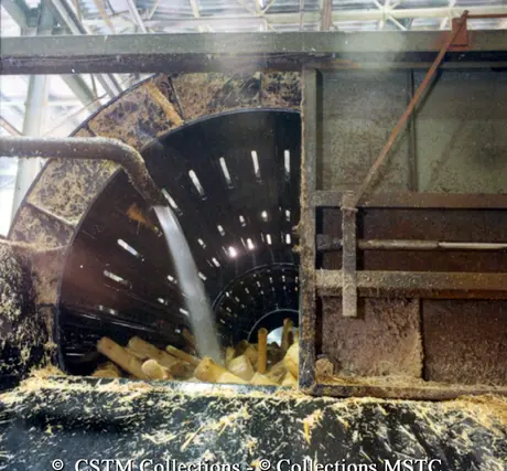 Beginning of mechanical separation at the Gaspesia Paper Mill