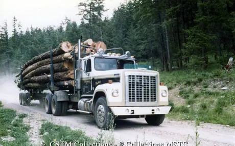 Recently cut logs of wood being transported from the forest to the Balco Mill