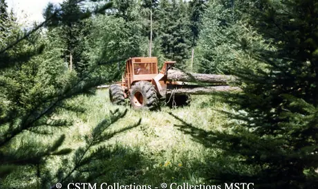 A forwarder dragging logs out of the forest to be taken to the Balco Mill