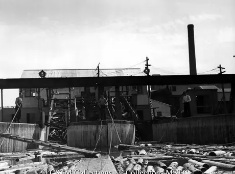 Employees of the Bowater’s Newfoundland Pulp and Paper Mills Limited directing the logs into the plant