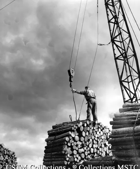 Attaching the crane to a single cord bundle of wood