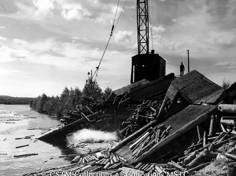 Crane operator dropping a bundle of wood into the water