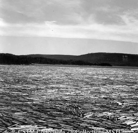 Newfoundland log boom, seen from the railway line