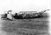 Holt reaper cutting wheat near Regina