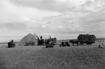 Threshing near Edmonton, Alberta