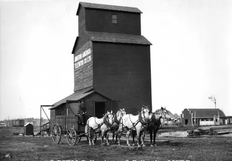 Grain wagon and team at an elevator