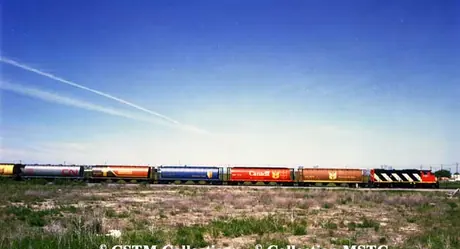 Grain train with hopper cars in six different paint schemes