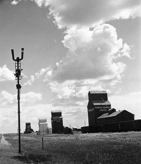 Grain Elevators at Bradwell, Saskatchewan