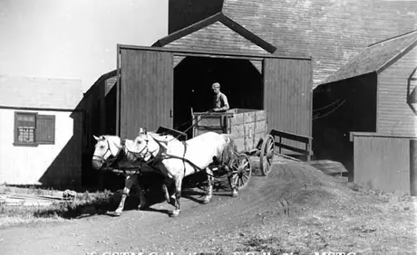 An empty wagon leaving a grain elevator