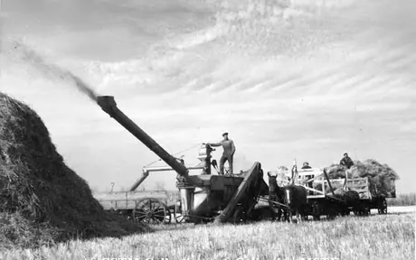 Threshing outfit in operation
