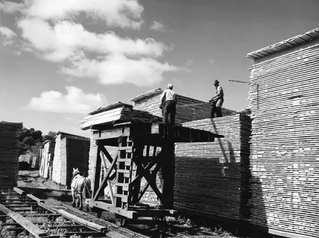 Horse drawn high car and wood piles, Muskoka Wood Products Mill, Huntsville, Ontario