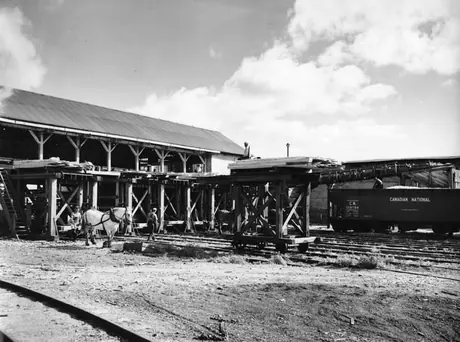 Sorting shed and high cars at the Muskoka Wood Products Mill, Huntsville, Ontario