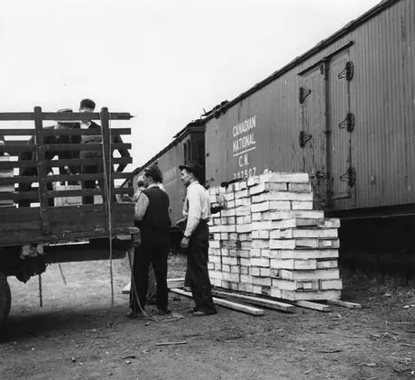 Lake St. John, Que. - Normandin shipment of blueberries