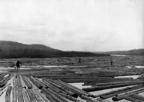 River of logs in the St. Maurice River