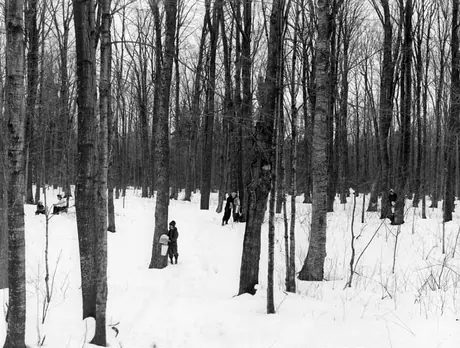 Station of Province of Quebec at Plessisville, April 2, 1940 - gathering in glass and aluminum bucket