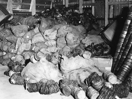 Station of Province of Quebec at Plessisville, April 2, 1940 - discarded old wooden containers for sap