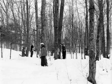 Station of Province of Quebec at Plessisville, April 2, 1940 - gathering in glass and aluminum bucket