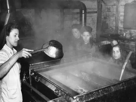 Maple syrup production