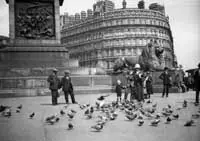 Feeding the pigeons at Trafalgar square