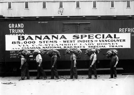 Hauling a shipment of bananas, Montreal