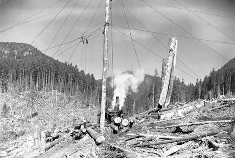 Skidder at Industrial Timbermills camp near Cowichan Lake, Vancouver Island