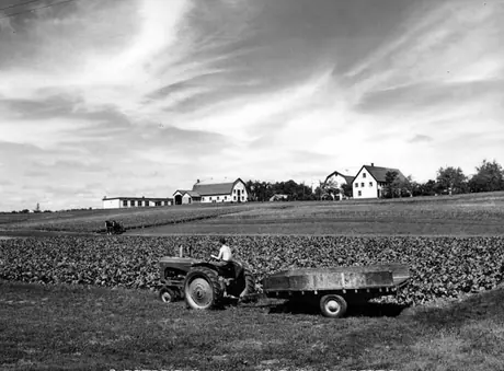 Prince Edward Island - Experimental farm