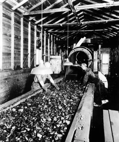 Coal mining Drumheller, Alta. - screening coal