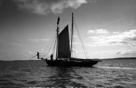 Louisbourg, N.S. - sword fishing - fishing boats returning to Fort
