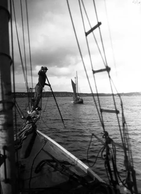 Louisbourg, N.S. - sword fishing - fishing boats returning to Fort